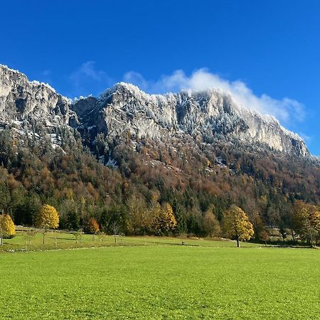 Ferienwohnung Bergliebe Sankt Johann in Tirol Exterior foto